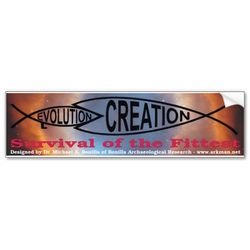 evolution_vs_creation_bumper_sticker