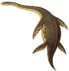 muraeonsaurus