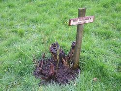 robbers_grave_400x300