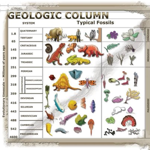 geologicColumn