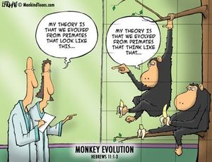 monkey_evolution.jpg
