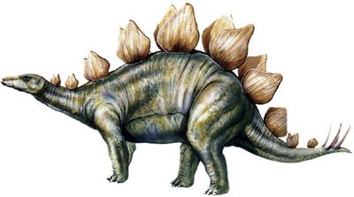 Stegosaurus1